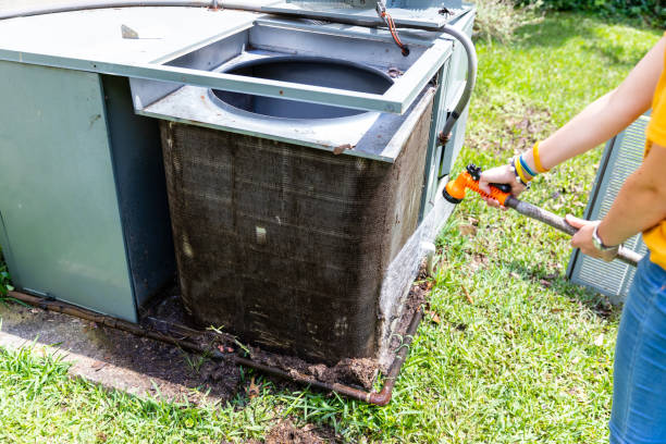 Best Air Duct Sanitizing Services  in Skagway, AK