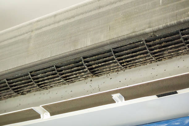 Best HVAC Maintenance and Cleaning  in Skagway, AK